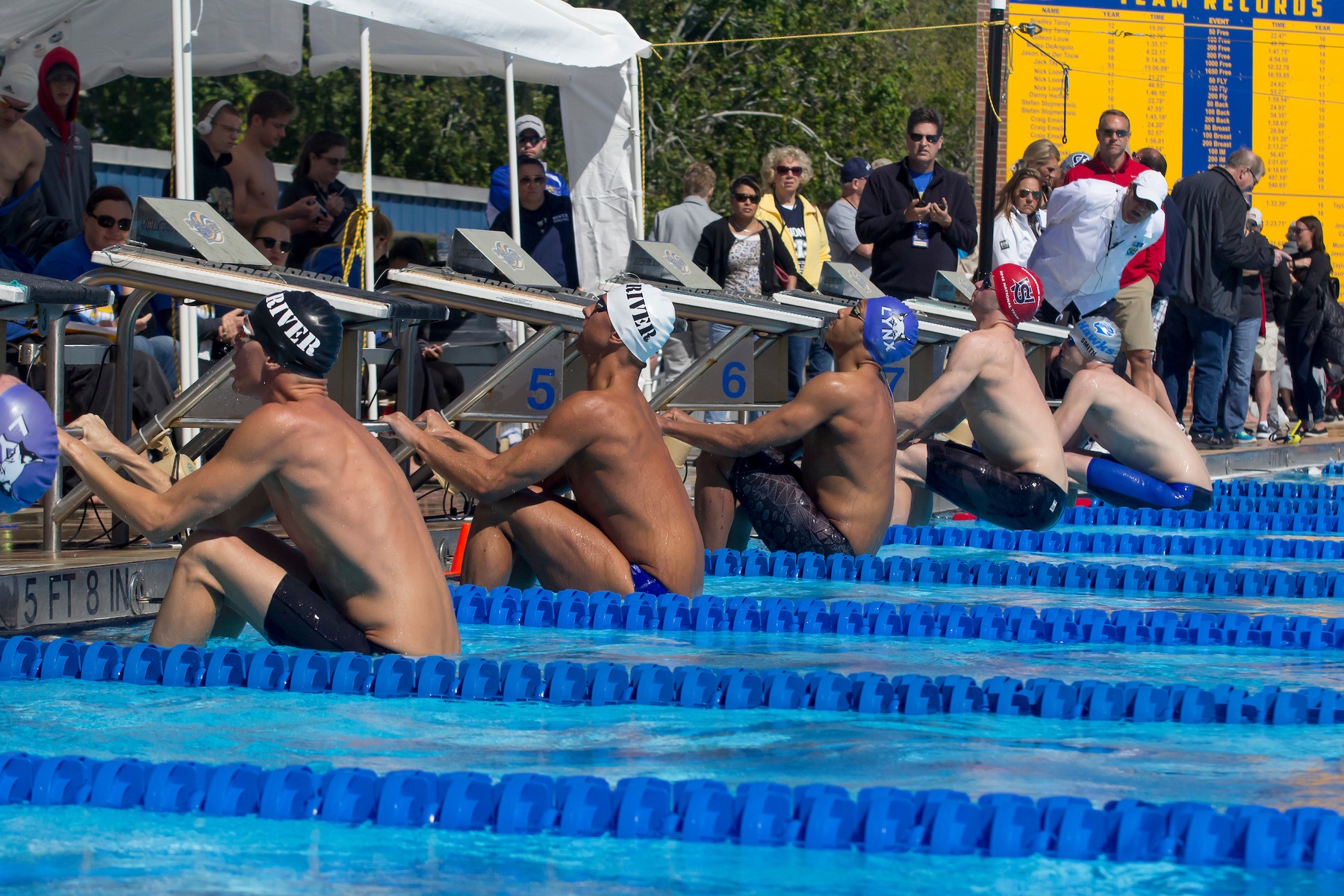 Sophia Diagne Downs 100 IM Record on Day 3 of NJCAA Championships